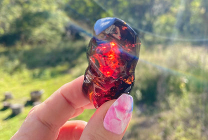 Rare Red Fire Baltic Amber: Ancient Inclusions, Collector's Gem