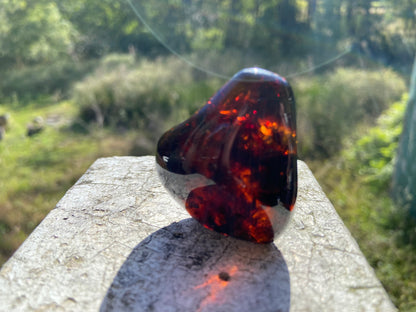 Rare Red Fire Baltic Amber with Ancient Organic Inclusions: Collector's Gem