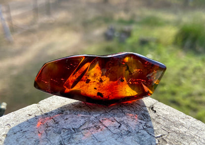 Rare Red Fire Amber: Baltic Sea Fossil with Organic Inclusions