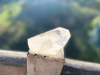 Natural Citrine Lemurian Cathedral Point with Inclusions | Timekeeper | 315g | Brazil