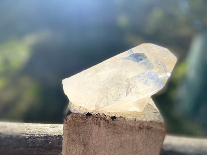 Natural Citrine Lemurian Cathedral Point with Inclusions | Timekeeper | 315g | Brazil