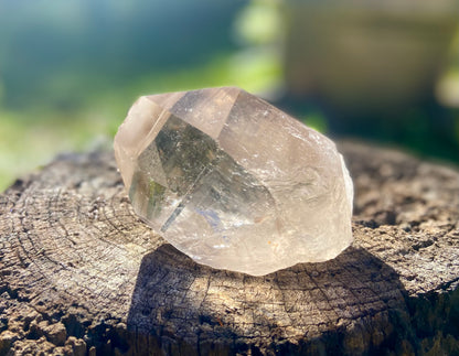 Smokey Citrine Pleiadian Starbrary | Lemurian Seed Quartz Point | Smoky Citrine | Manifestation & Inner Child Crystal | Brazil – 358g