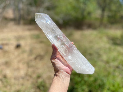 Lemurian Seed Quartz Crystal | Ancient Wisdom | Record Keepers |Phantasmagoric Rainbow | 1.313 kg