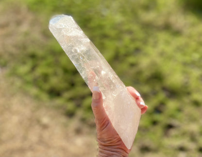 Lemurian Seed Quartz Crystal | Ancient Wisdom | Record Keepers |Phantasmagoric Rainbow | 1.313 kg