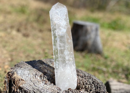 Lemurian Seed Quartz Crystal | Ancient Wisdom | Record Keepers |Phantasmagoric Rainbow | 1.313 kg