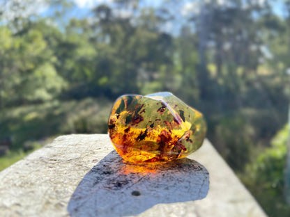Polished Honey Amber (full of Bugs)
