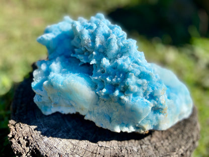 Blue Aragonite Cluster X Grade