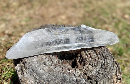 Lemurian Seed Quartz Crystal | Ancient Wisdom | Record Keepers |Phantasmagoric Rainbow | 1.313 kg