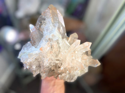Golden Healer Lemurian Seed Cluster AAA+ Grade