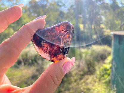 Rare Red Fire Baltic Amber with Ancient Organic Inclusions: Collector's Gem