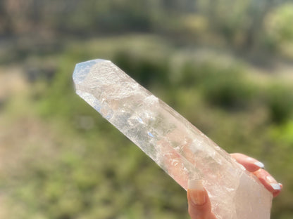 Lemurian Seed Quartz Crystal | Ancient Wisdom | Record Keepers |Phantasmagoric Rainbow | 1.313 kg