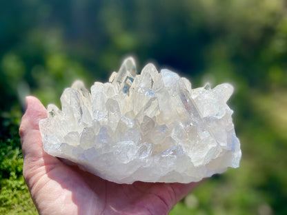 Lemurian Seed Quartz Cluster With A Smudge Of Golden Healer AAA+++