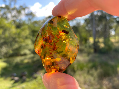 Polished Honey Amber (full of Bugs)