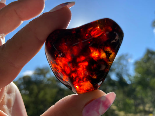 Rare Red Fire Baltic Amber with Ancient Organic Inclusions: Collector's Gem