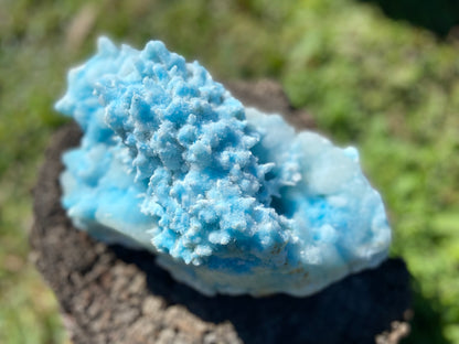 Blue Aragonite Cluster X Grade