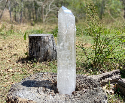 Lemurian Seed Quartz Crystal | Ancient Wisdom | Record Keepers |Phantasmagoric Rainbow | 1.313 kg