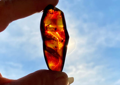 Rare Red Fire Amber: Baltic Sea Fossil with Organic Inclusions