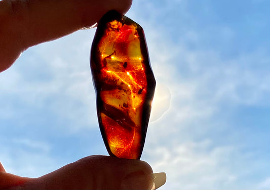 Rare Red Fire Amber: Baltic Sea Fossil with Organic Inclusions