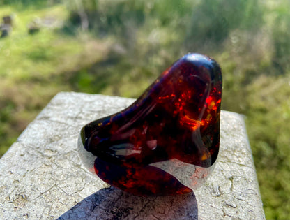 Rare Red Fire Baltic Amber with Ancient Organic Inclusions: Collector's Gem
