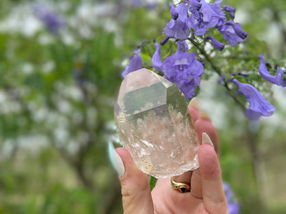 Lodolite Lemurian Inclusion Quartz With IsIs Window