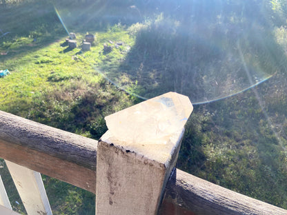 Natural Citrine Lemurian Cathedral Point with Inclusions | Timekeeper | 315g | Brazil