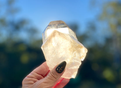 Natural Citrine Lemurian Cathedral Point with Inclusions | Timekeeper | 315g | Brazil