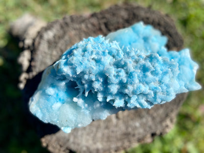 Blue Aragonite Cluster X Grade