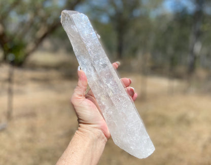 Lemurian Seed Quartz Crystal | Ancient Wisdom | Record Keepers |Phantasmagoric Rainbow | 1.313 kg