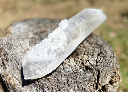 Lemurian Seed Quartz Crystal | Ancient Wisdom | Record Keepers |Phantasmagoric Rainbow | 1.313 kg
