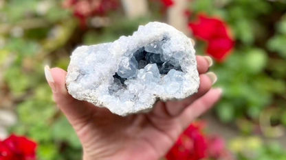 Celestite Cluster