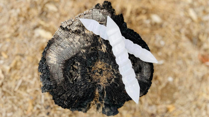 Selenite Wand Double Terminated