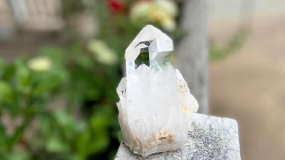 Lemurian Seed Cluster with Rainbows and Record Keepers AAA+ Grade