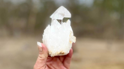 Lemurian Seed Cluster with Rainbows and Record Keepers AAA+ Grade