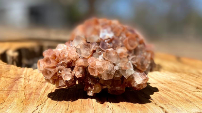 Aragonite Sputnik Cluster