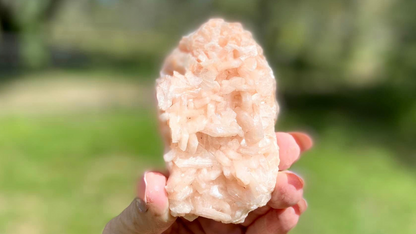 Apophyllite Crystal with Peach Stilbite Cluster