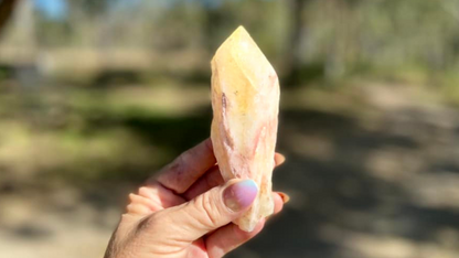 Dragon Tooth Citrine Quartz Natural Point