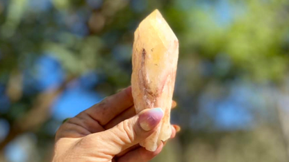 Dragon Tooth Citrine Quartz Natural Point