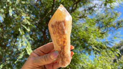 Dragon Tooth Citrine Quartz Natural Point