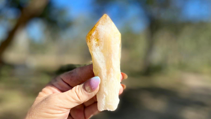 Dragon Tooth Citrine Quartz Natural Point