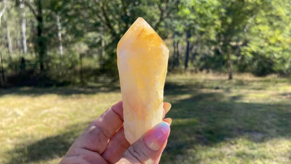 Dragon Tooth Citrine Quartz Natural Point