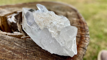 Barnacle Pleiadian Starbrary Cluster with Fairy Dust and Master Record Keepers