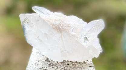 Barnacle Pleiadian Starbrary Cluster with Fairy Dust and Master Record Keepers