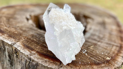 Barnacle Pleiadian Starbrary Cluster with Fairy Dust and Master Record Keepers