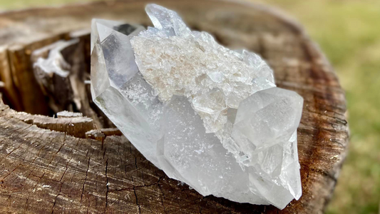 Barnacle Pleiadian Starbrary Cluster with Fairy Dust and Master Record Keepers