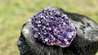 Amethyst Pineapple Cluster X Grade