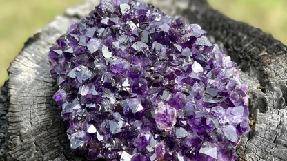 Amethyst Pineapple Cluster X Grade