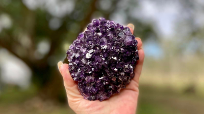 Amethyst Pineapple Cluster X Grade