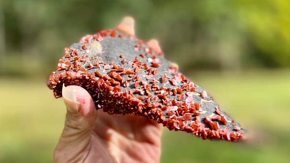 Vanadinite Cluster Museum Quality