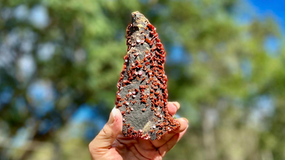 Vanadinite Cluster Museum Quality