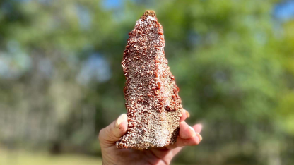 Vanadinite Cluster Museum Quality